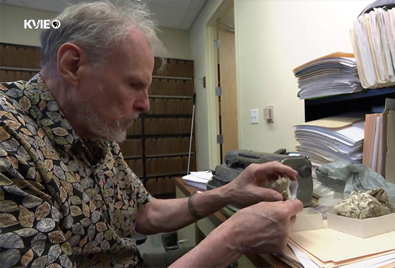 Geerat Vermeij holds a seashell.