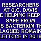 A Jeopardy clue featuring UC Davis