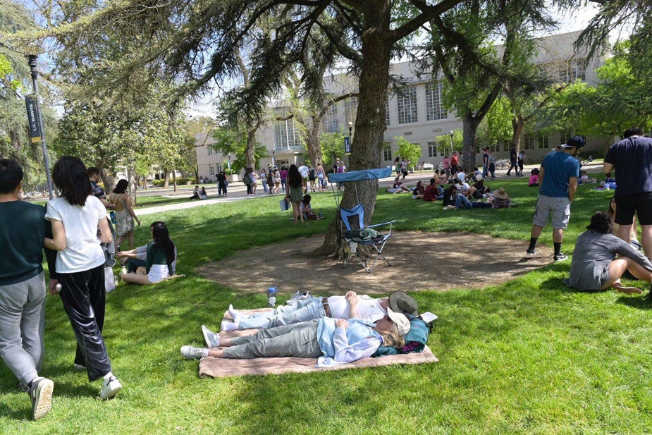  Two people taking naps on the grass.Napping.