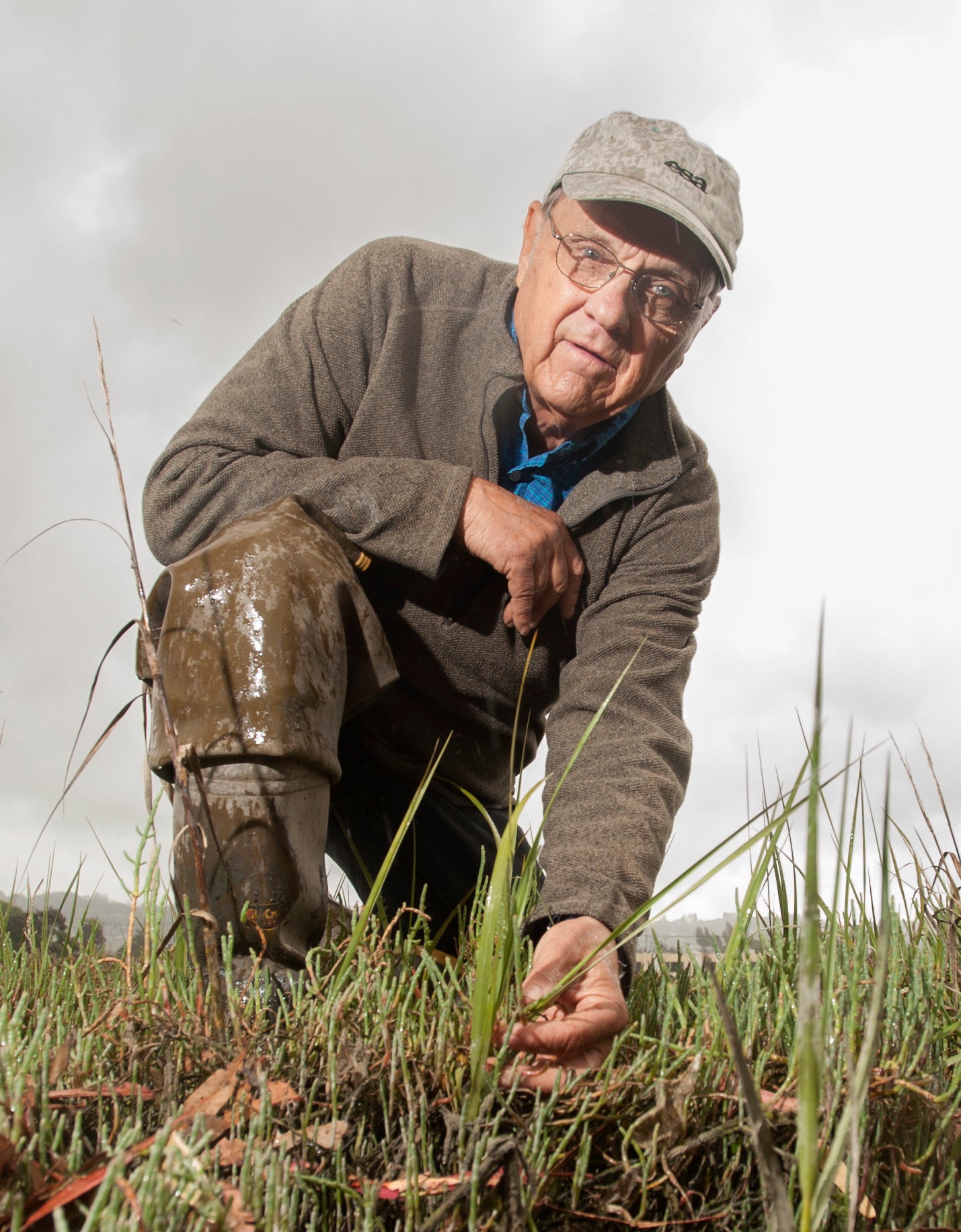 A male professor in a salt marsh