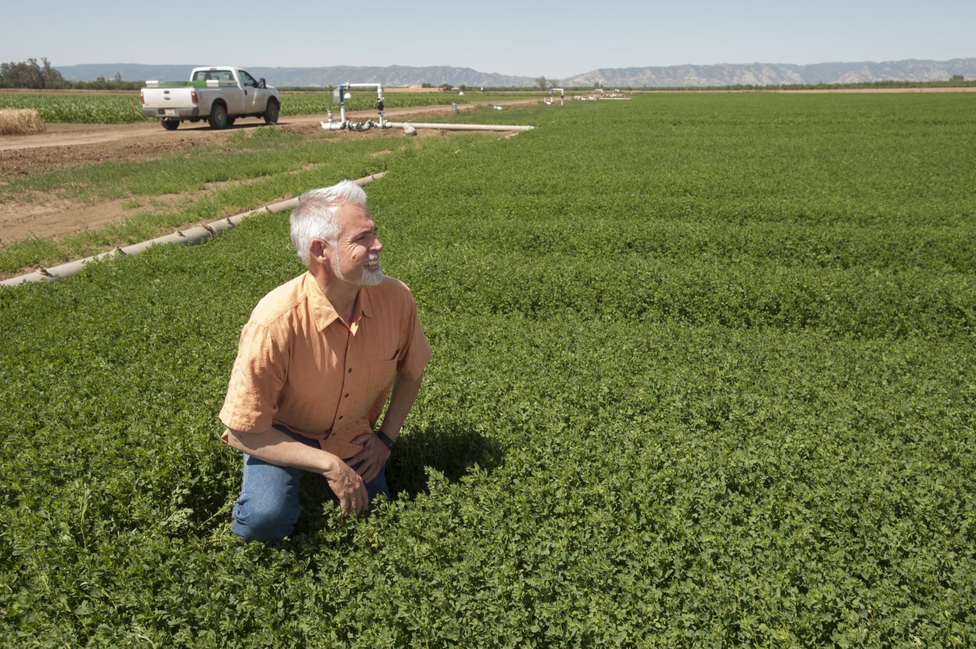 Man kneels in field