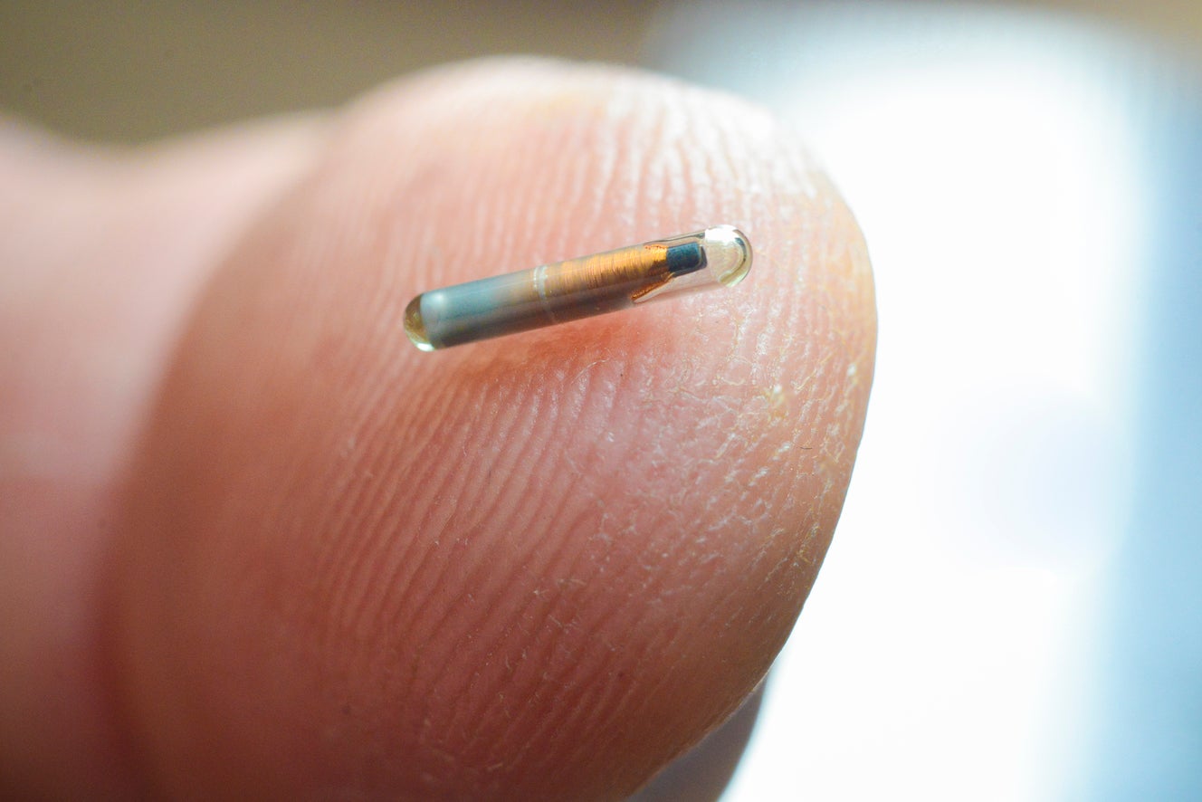 PIT tag for hummingbird