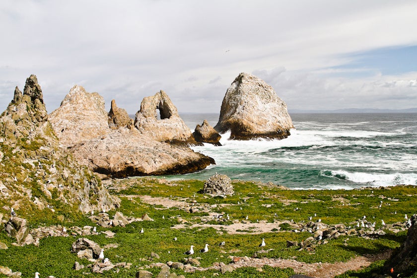 Farallon Islands landscape
