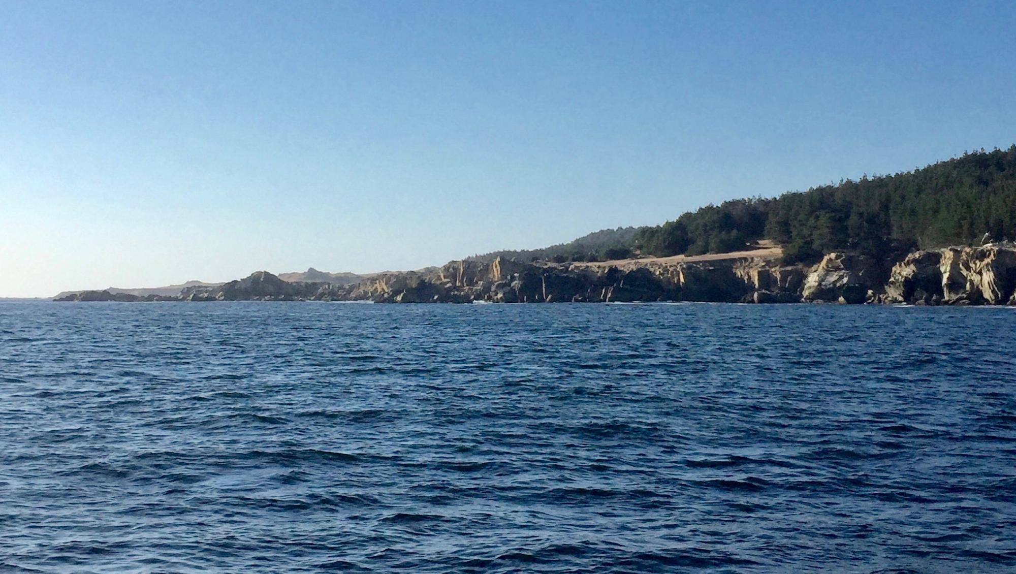 ocean surface without bull kelp