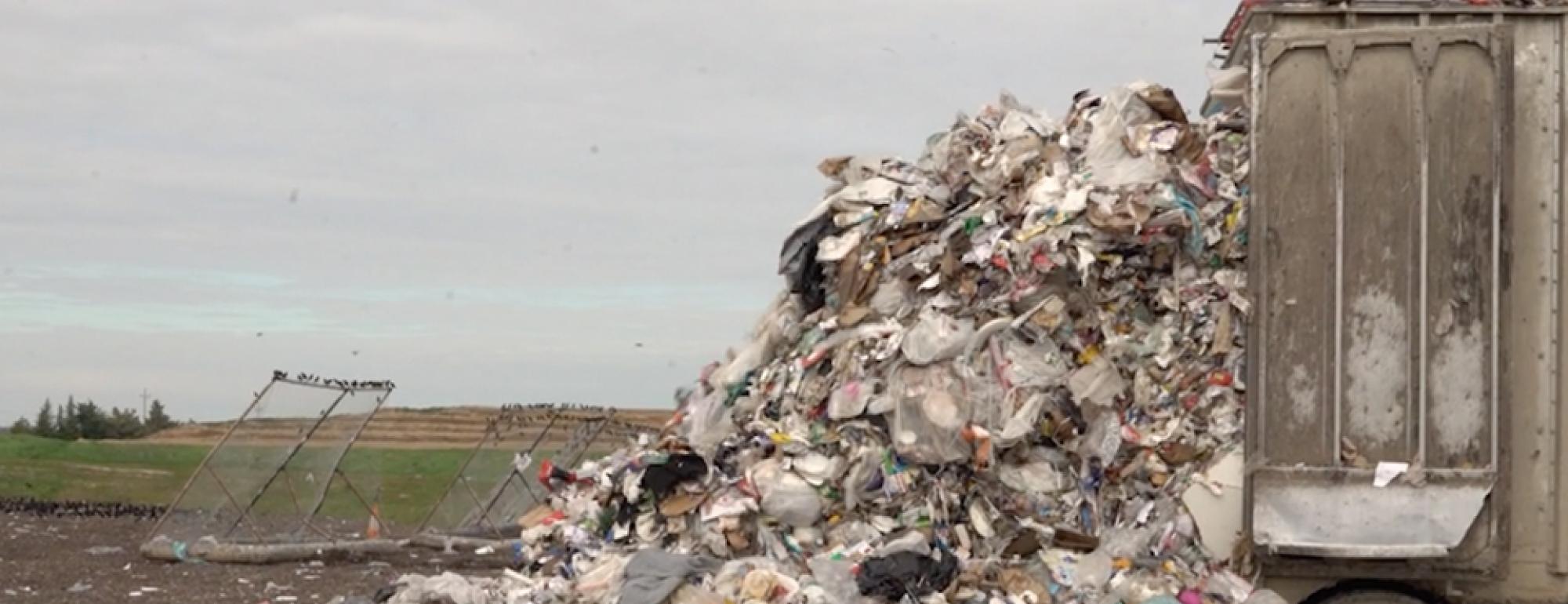 food dumped in a compost landfill 