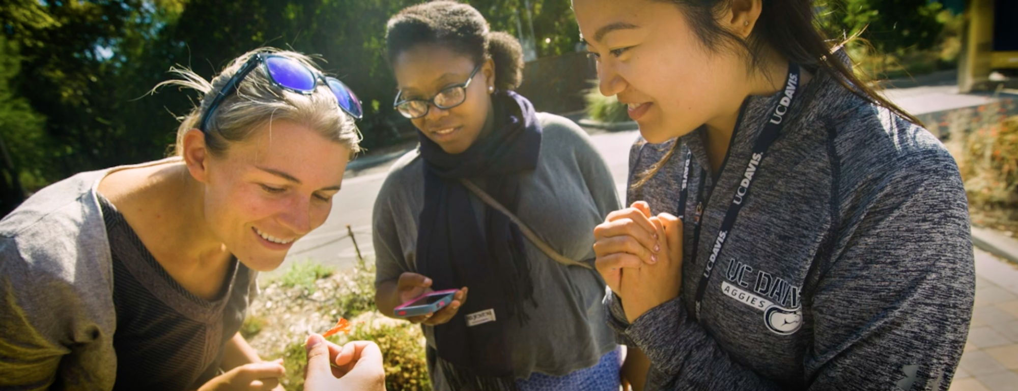 students study botanicals in living laboratory