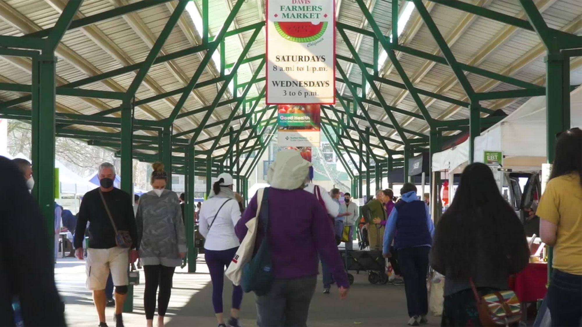 A group of people walking through the Davis Farmer's Market