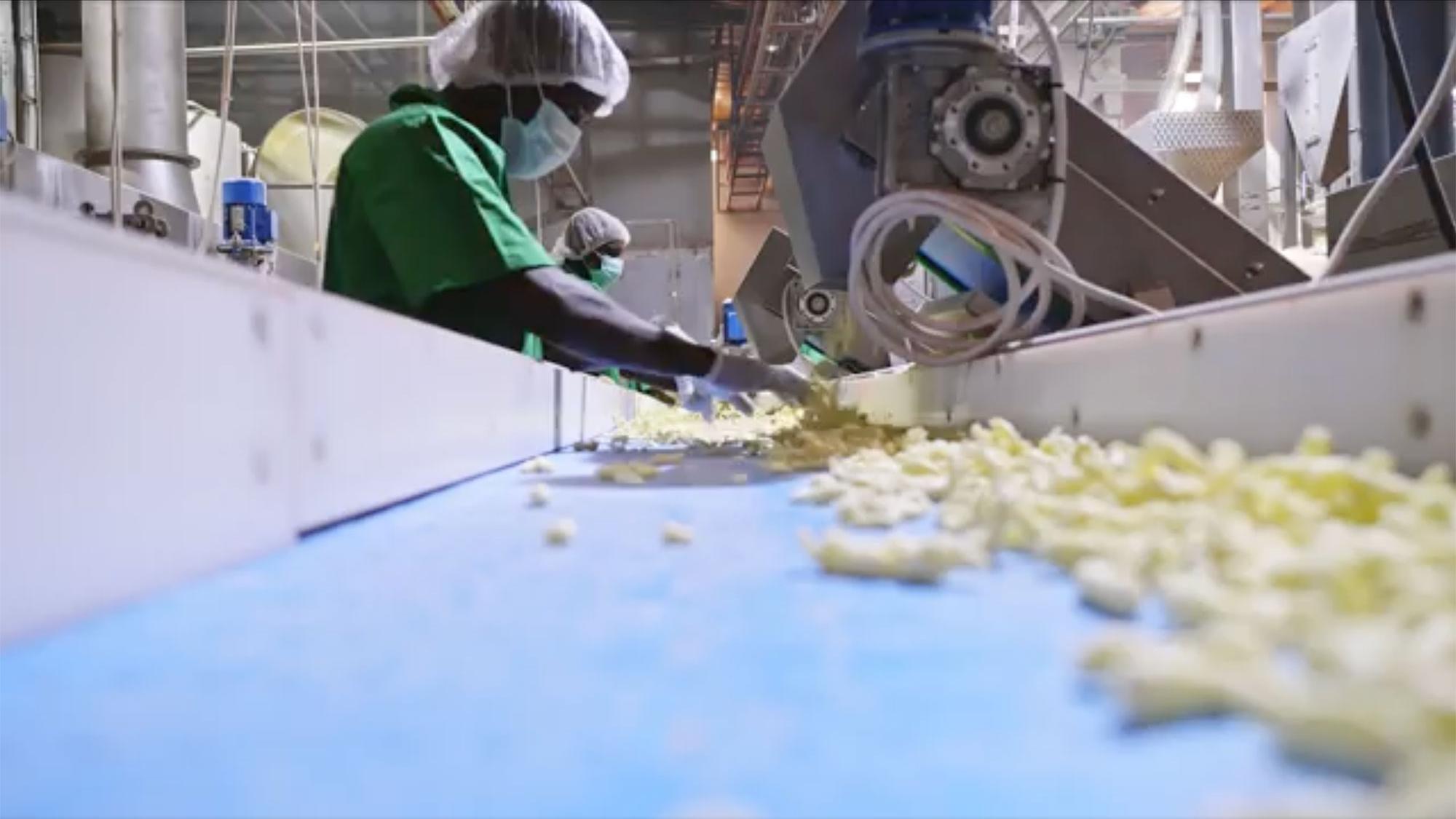 A factory worker processes food ingredients on a conveyor belt