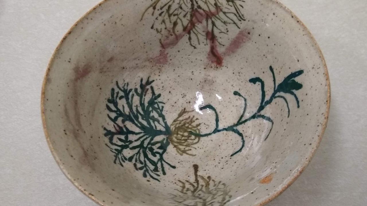 Pottery from Plant Sciences