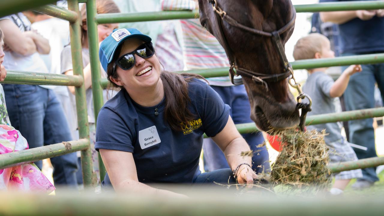 Veterinarian and horse.