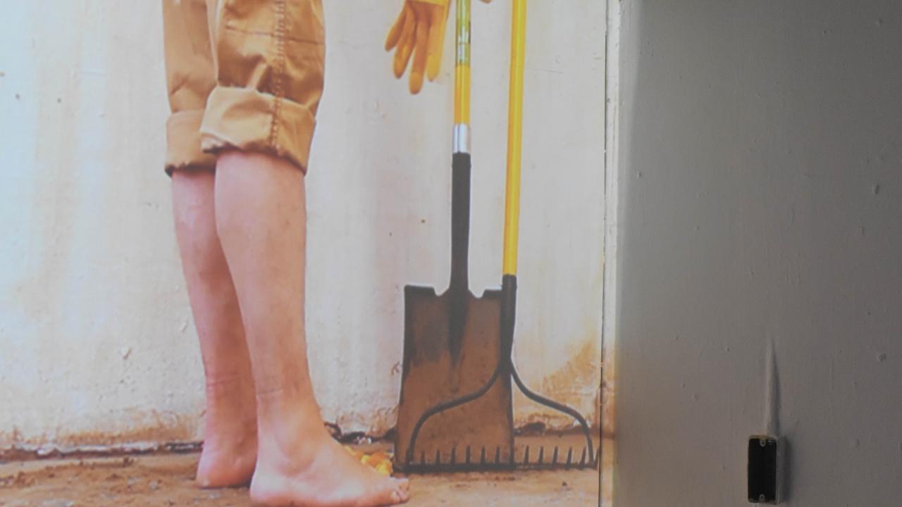 Person, shovel, rake