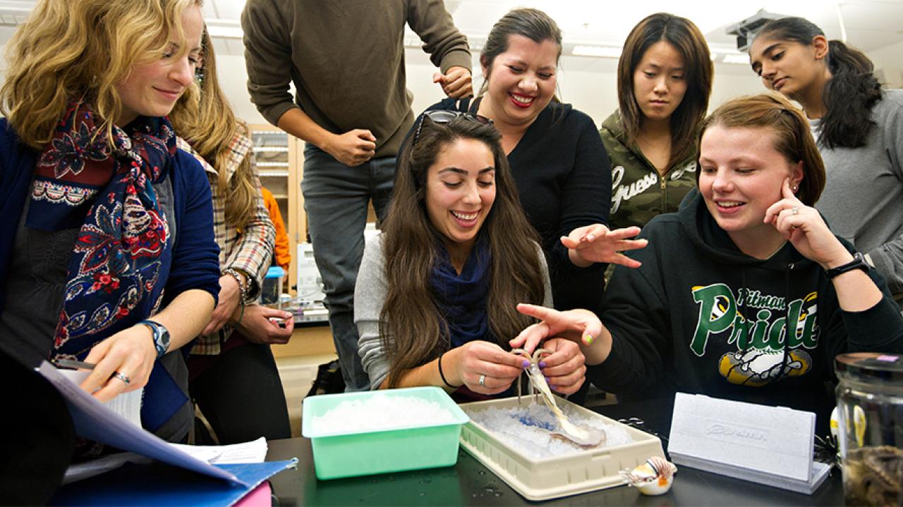 study cognitive science major uc davis