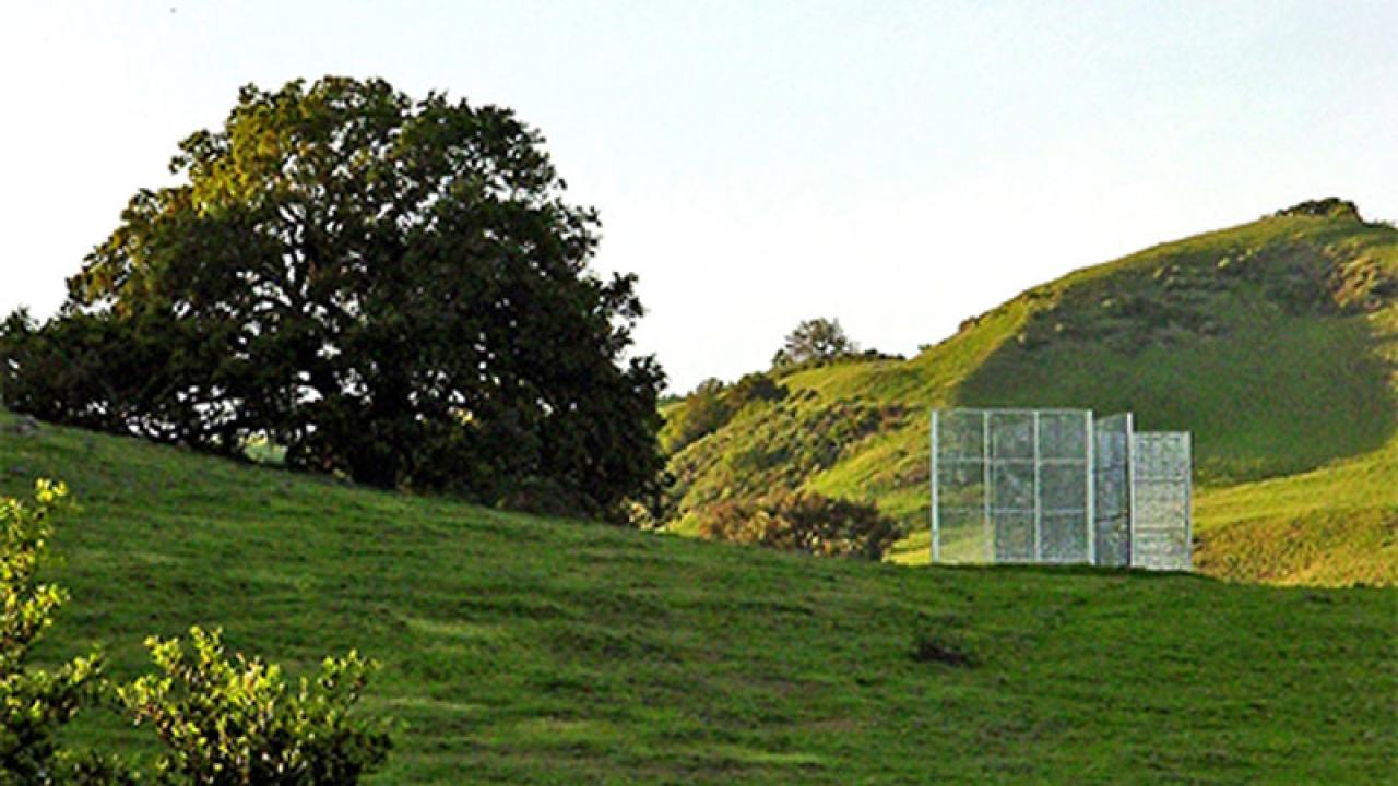 Sculpture on Nature Trail