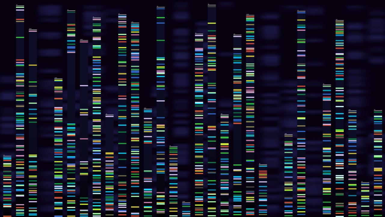 Visual of DNA genome sequencing. 