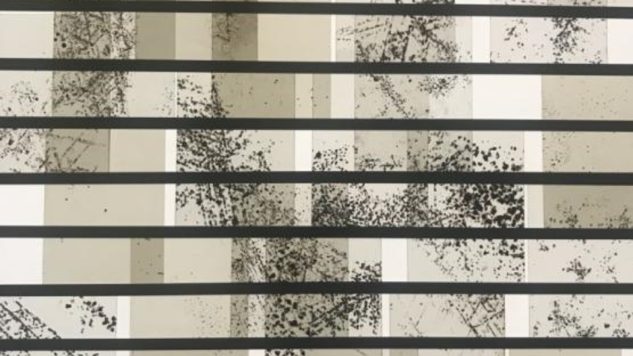 Installation Humankind is glass