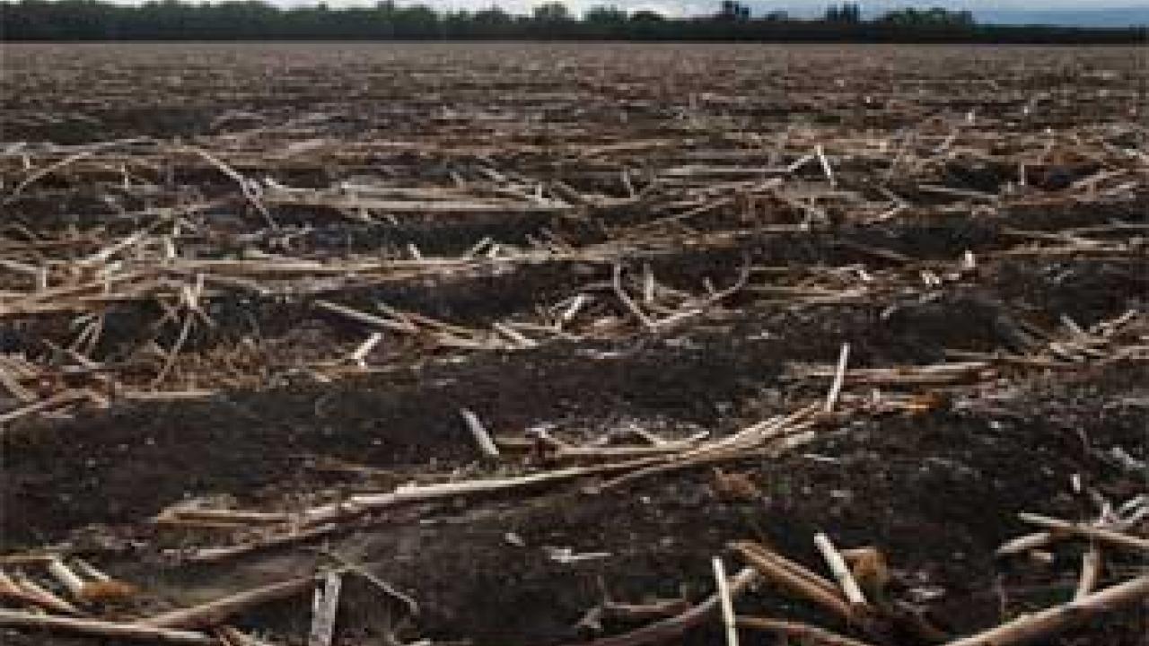 Photo: furrows of land after harvest