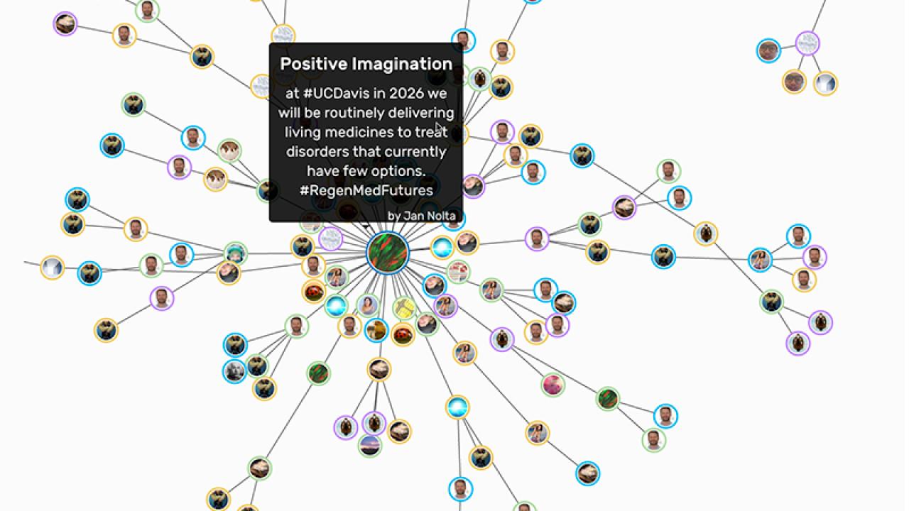 Graphic: "Envision UC Davis" constellation