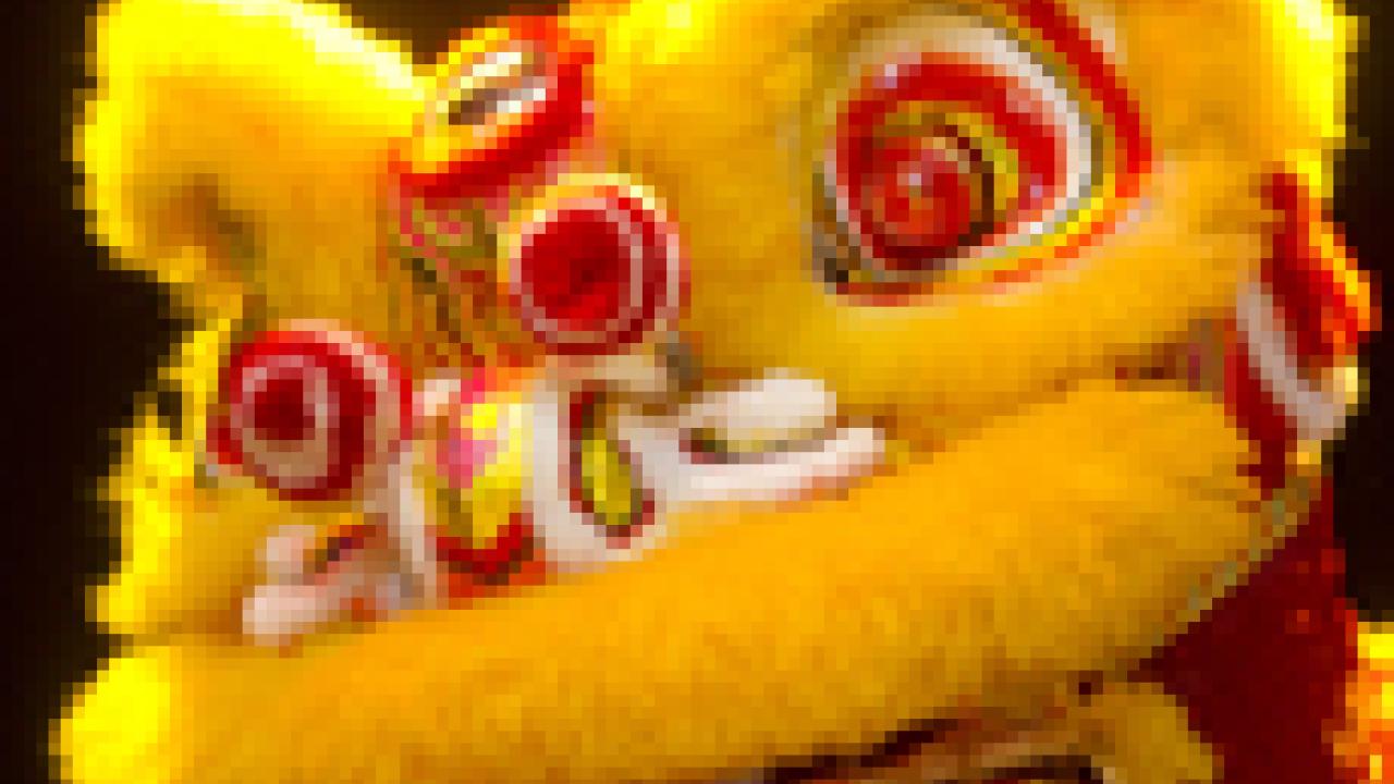 Photo: Golden Lion Turtle Dance Association's lion costume, with two students inside