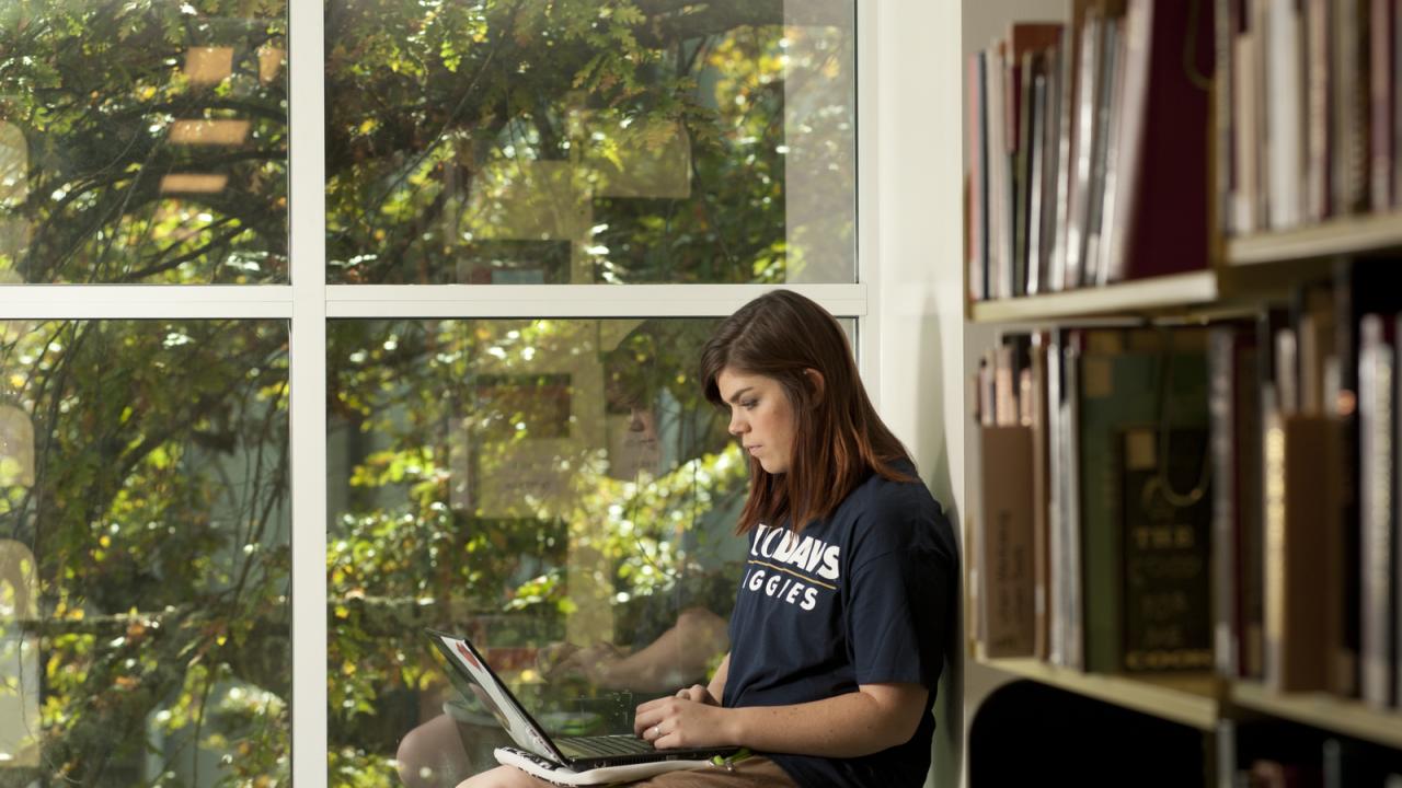 A woman looks at her laptop in the library