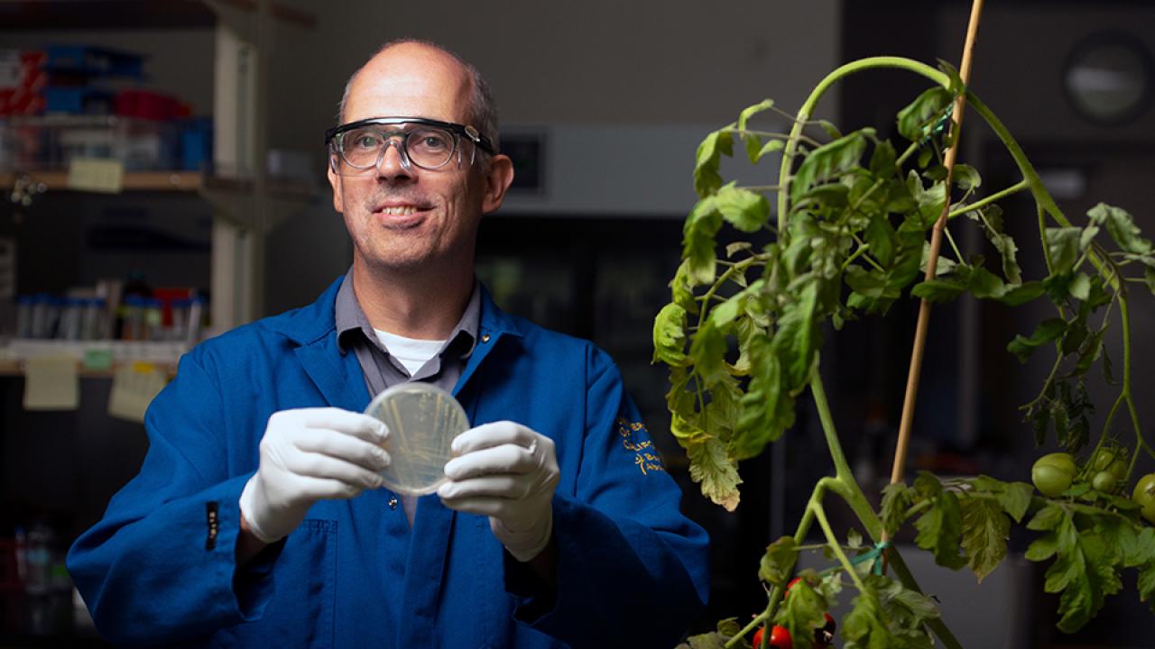 Plant scientist in lab