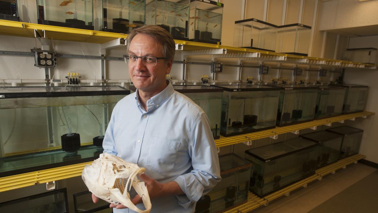 Peter Wainwright with fish skull
