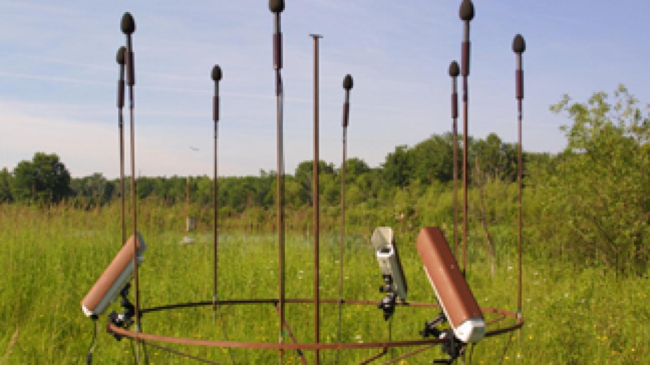 A ring of directional microphones, used to record the songs of birds in a birdcage at the center of the ring.