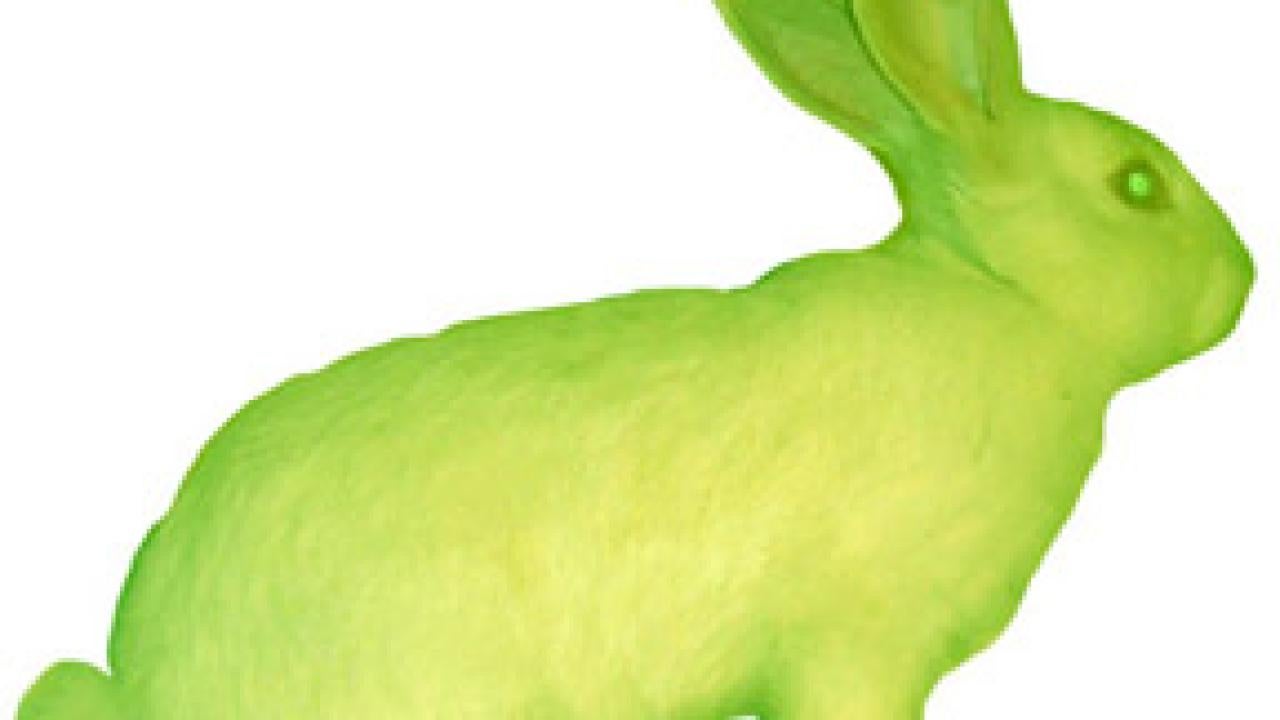 Alba, the fluorescent bunny