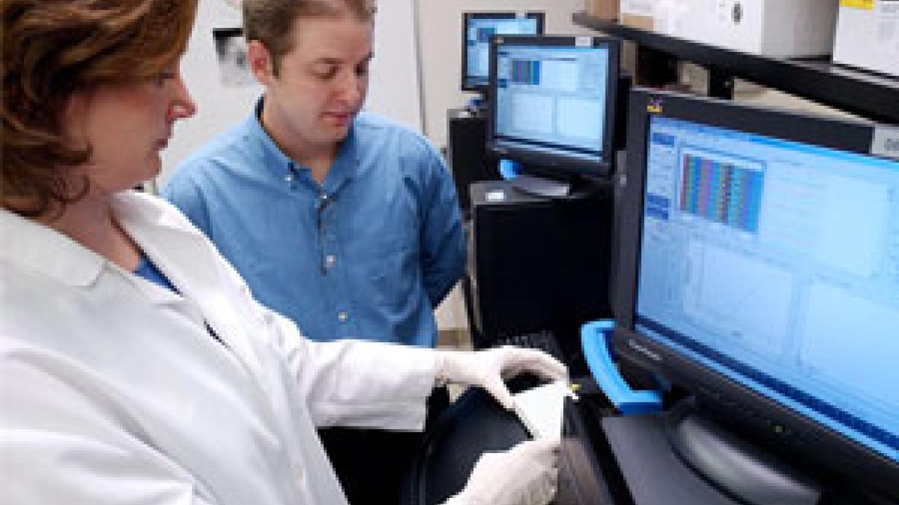 Alex Ardans of the California Animal Health and Food Safety Lab System is working with colleagues including graduate student Beate Crossley here to find more efficient ways to manage the huge amounts of data that rush in when animal disease brea