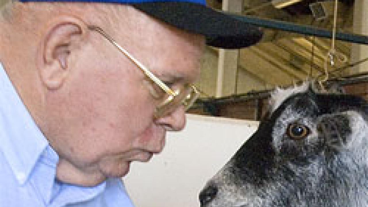 Photo: man talking to goat
