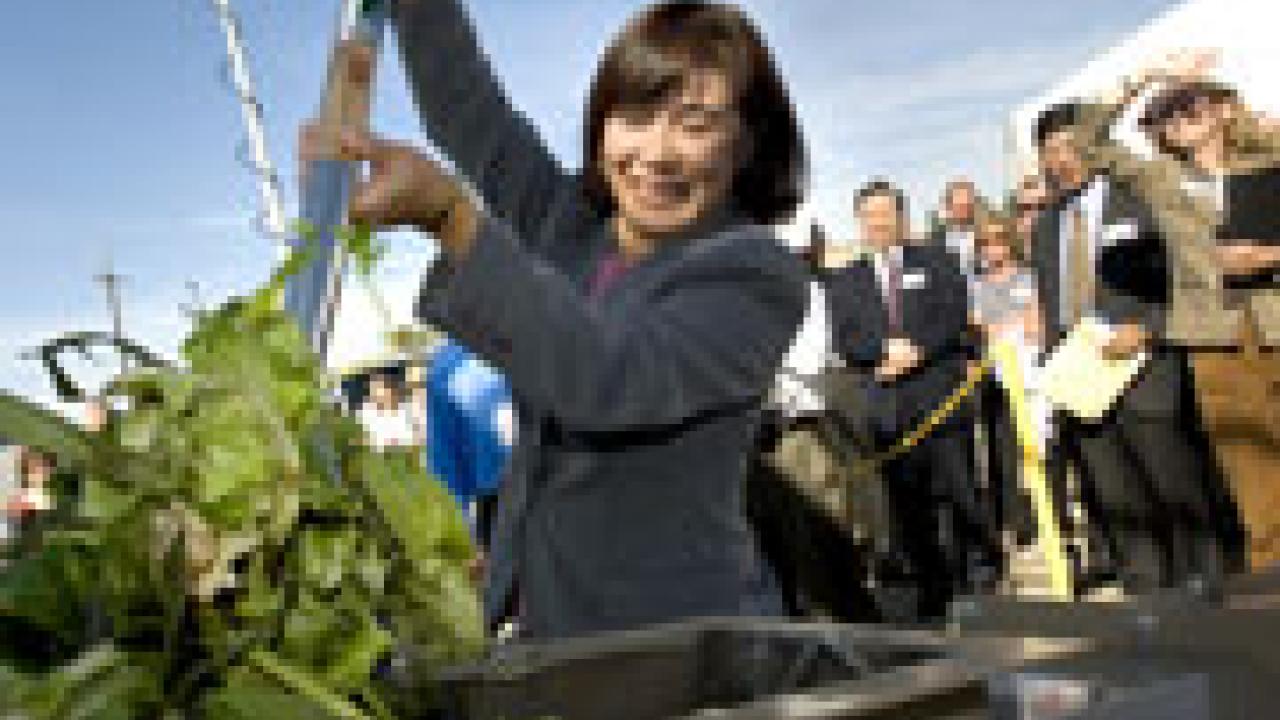 Ruihong Zhang, a UC Davis professor of biological and agricultural engineering, scoops waste into the digester at the Biogas Energy Project at the start-up ceremony on Tuesday.
