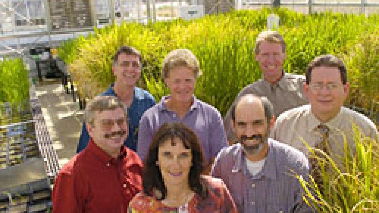 Serving on the transition committee for the proposed Department of Plant Sciences are, from left, Heiner Lieth of environmental horticulture, Joe DiTomaso of crop and ecosystem sciences, Beth Mitcham of horticultural sciences, John Yoder of vege