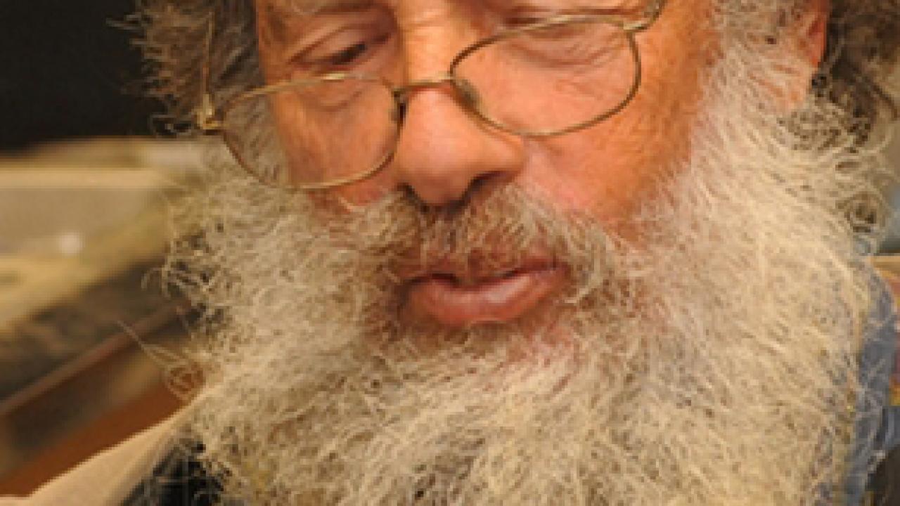 Photo: Professor Art Shapiro displays the cabbage white (Pieris rapae) that he caught Jan. 8, 2012.