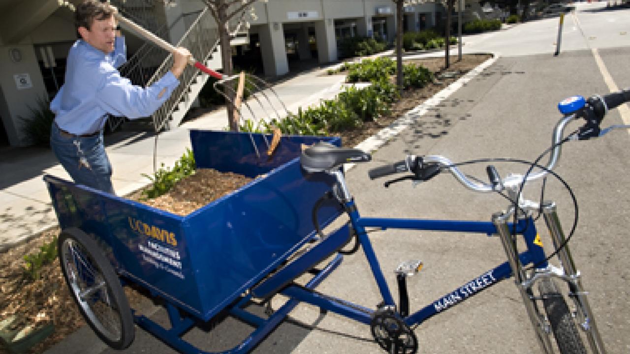 Mike Griffith unloads mulch from his new work bikepainted in UC Davis Aggie blue and carrying the Buildings and Grounds logo.
