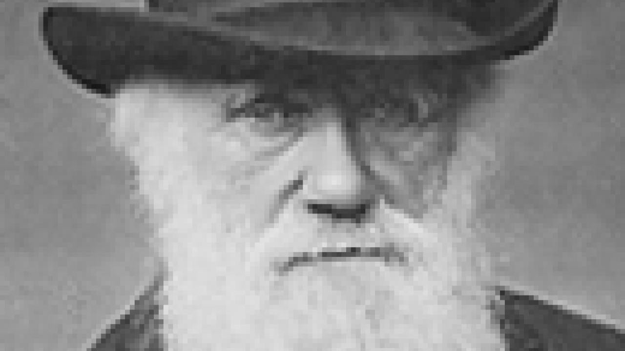 Charles Darwin in 1880.