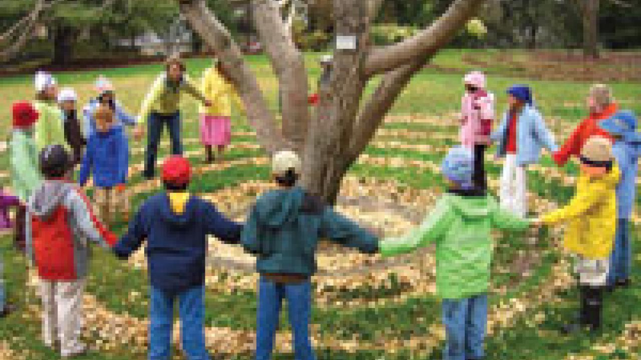 Children from Davis&rsquo; Waldorf School visit Ripple Effect, art made from leaves in the arboretum last December. Ripple Effect, created by UC Davis students led by Robin Hill, an associate professor of art, shows one way in which the arboretum ca