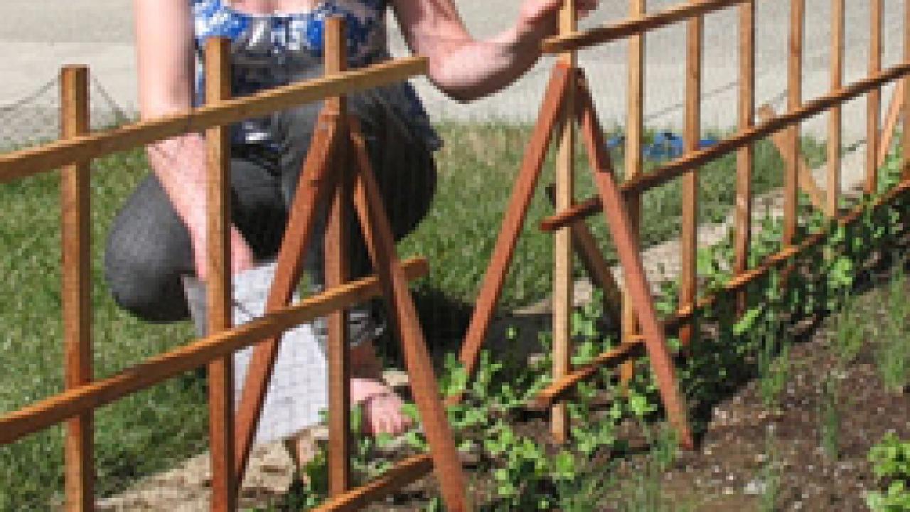 Margaret Lloyd is pictured at the campus's Salad Bowl Garden in March 2008, shortly after the first planting. She spearheaded the garden project.
