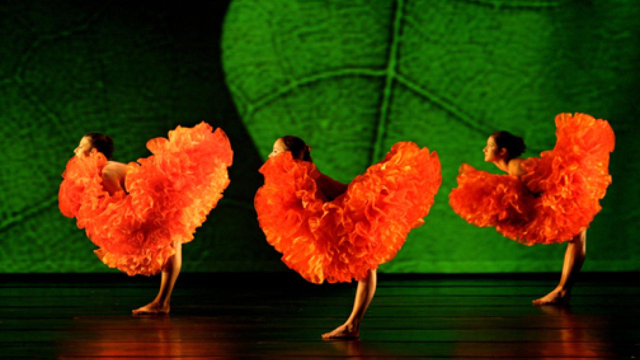 Photo: MOMIX dancers, appearing as flowers, in a scene from Botanica.