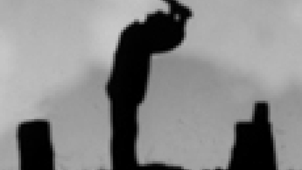 Photo: Vanessa Marsh's "Man Chopping Wood" (cropped)