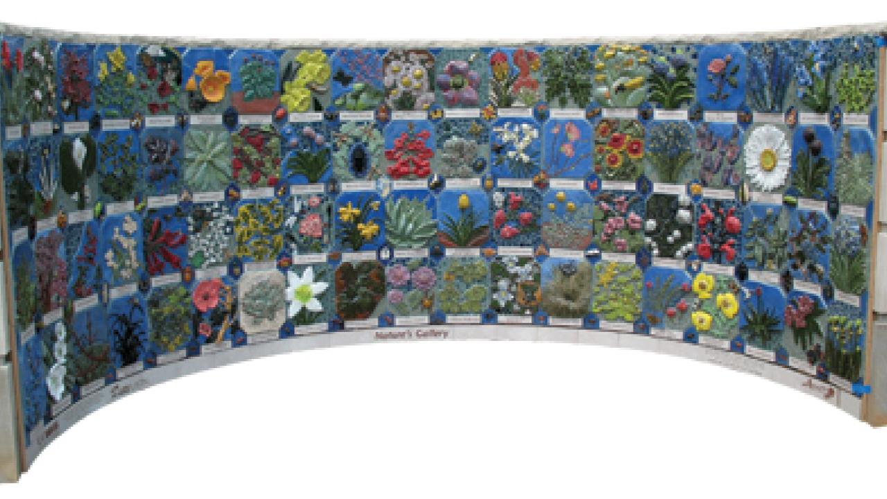 Nature's Gallery mosaic mural