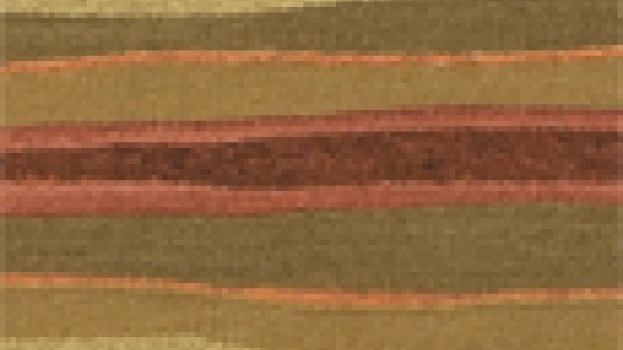 Weaving: Small section of D.Y. Begay's "Pollen Path"