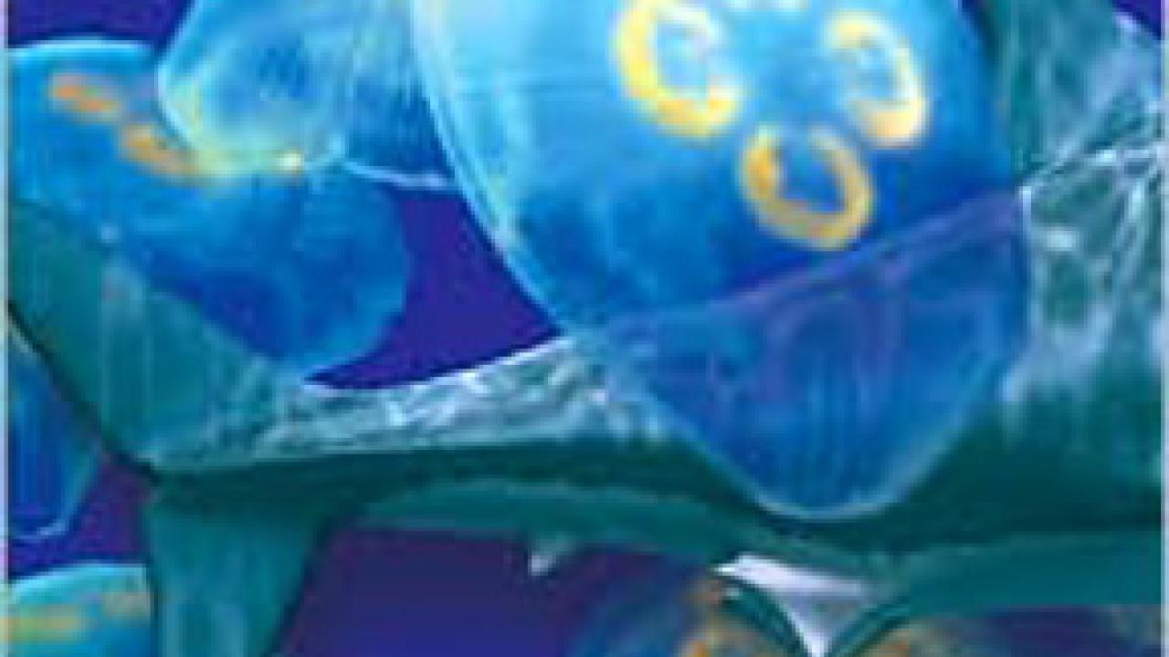 Book cover: The Shark and the Jellyfish