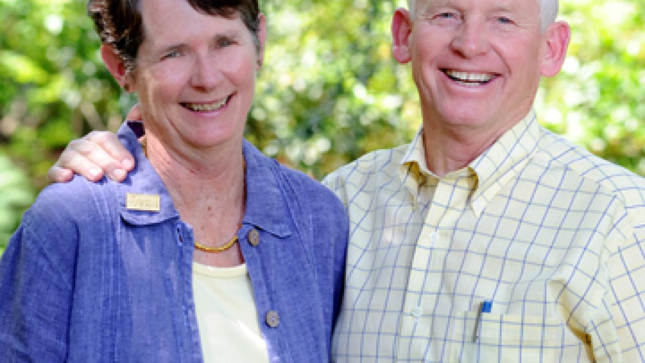 Photo: Meg and Tom Stallard