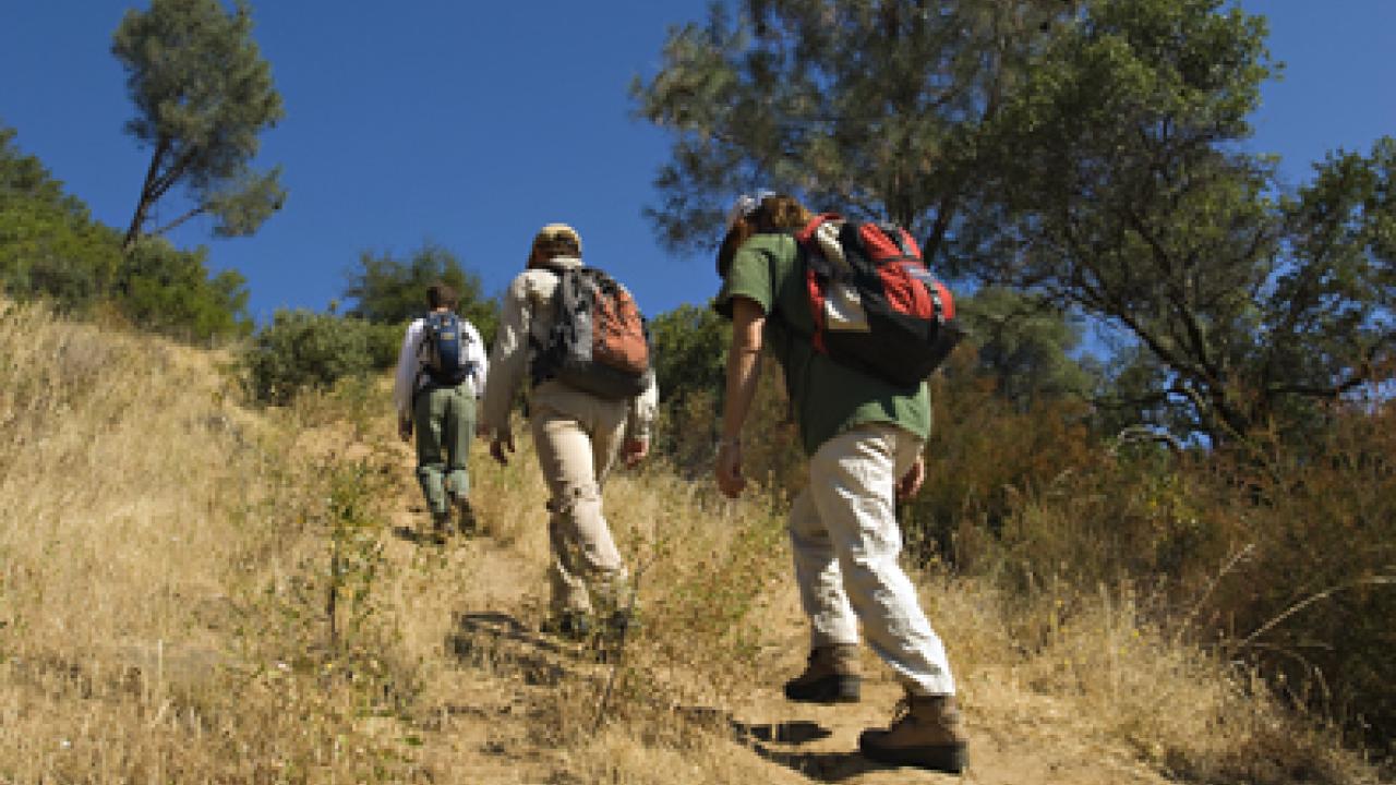 Hiking in Stebbins Cold Canyon in 2008: Shane Waddell, Kenny Walker and Virginia Shorty Boucher.
