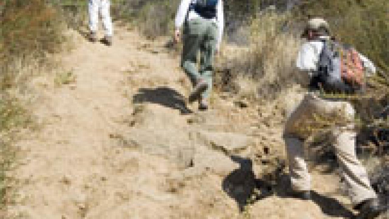 photo: three hikers going up a steep, eroded trail