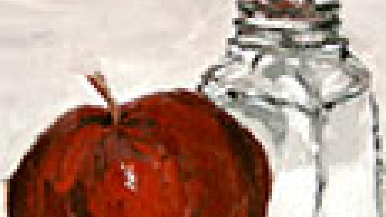 Still life study, apple and saltshaker, in oil paint, by Devon DeMont