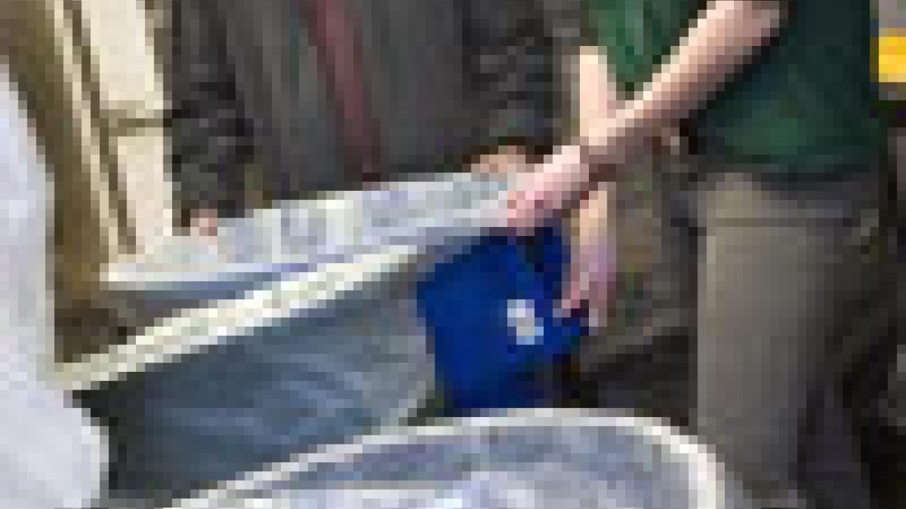 On the front: In the Tercero dining commons kitchen, Vincent Kemnitz, foreground, and Derek Stripling start the dishwashing process by scraping waste, including napkins, into a trough that carries all organic material to a grinder and then a pul
