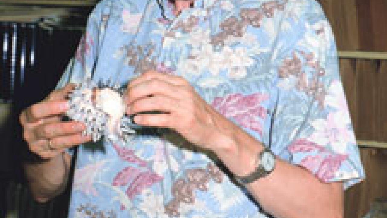  Blind since he was a youth, geology professor and recent Faculty Research Lecturer Award recipient Geerat Vermeij uses touch to &ldquo;see&rdquo; shells.