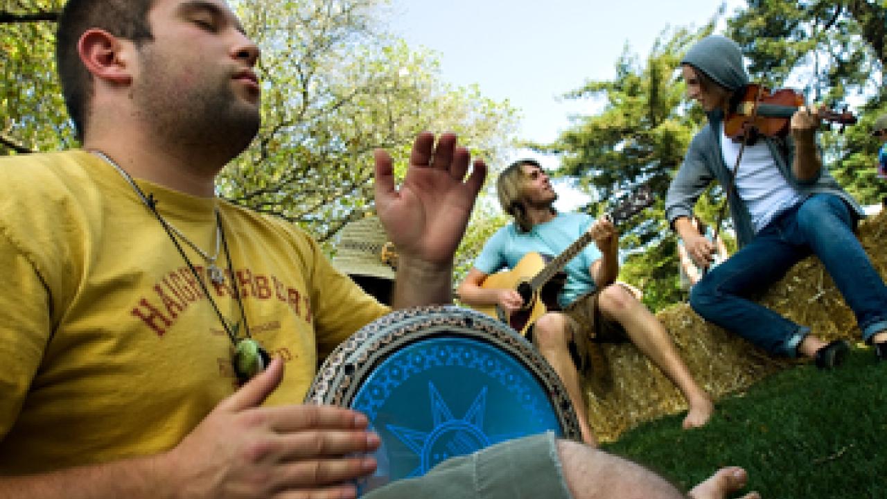 Musical trio at Whole Earth Festival 2008