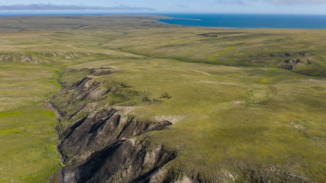 greening tundra aerial shot