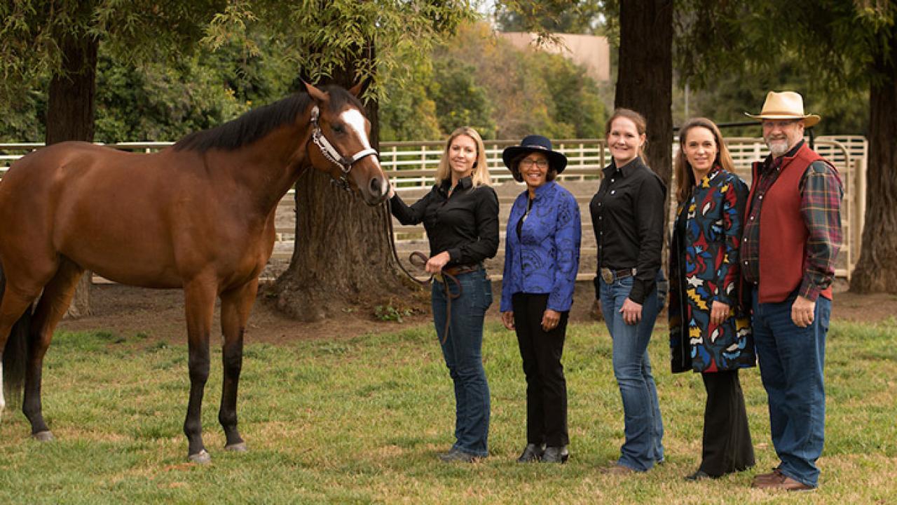 Al By Myself, a horse donated to UC Davis